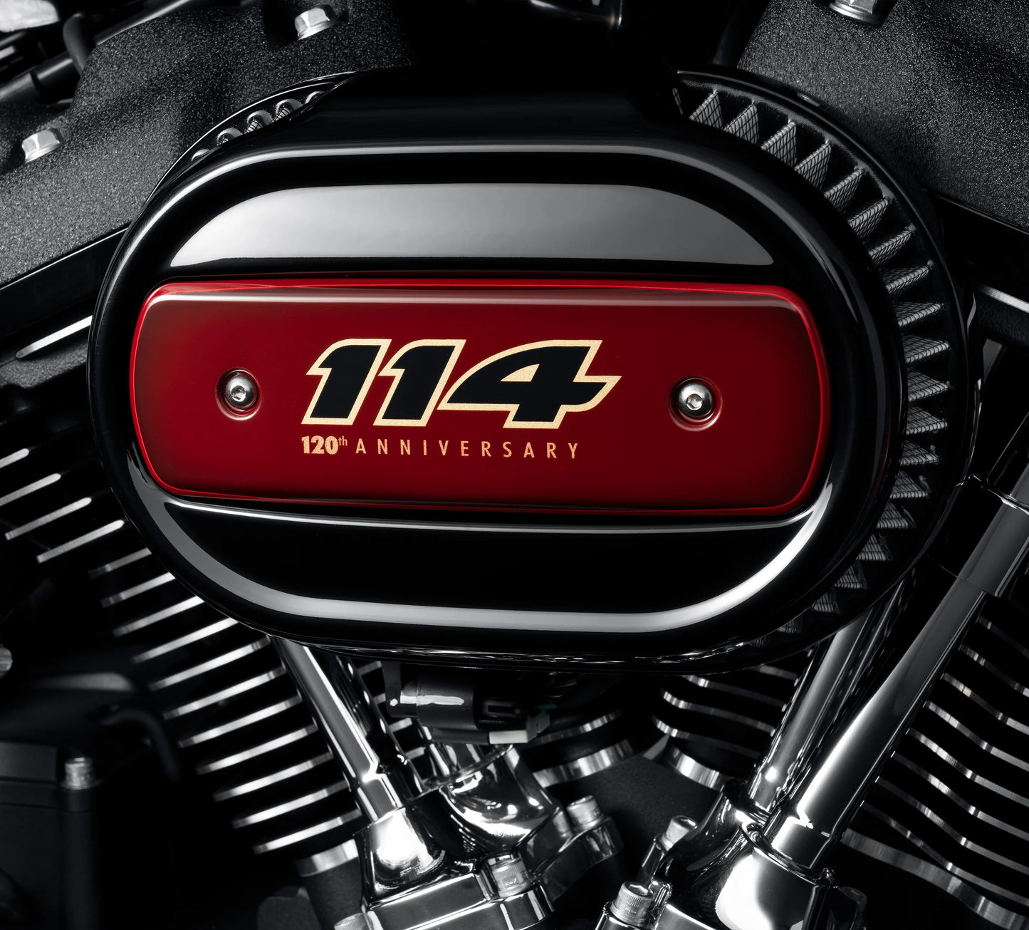 Harley-Davidson 120th Anniversary Air Cleaner Trim – Ventilator - 61301327