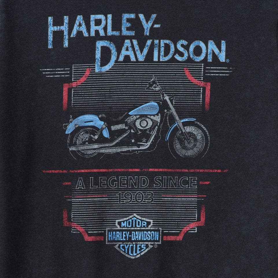 Harley-Davidson Men's Hardwired Tee (detail)