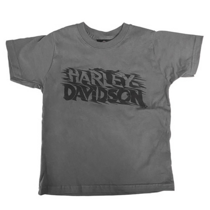 Harley-Davidson Hang On Kids/Youth T-Shirt, 40291213 (front)