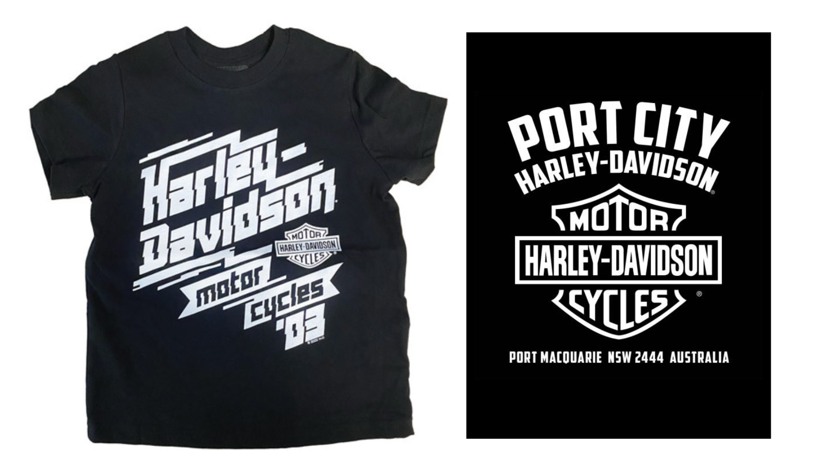 Harley-Davidson Static Kids/Youth T-Shirt, 40291212 (back)