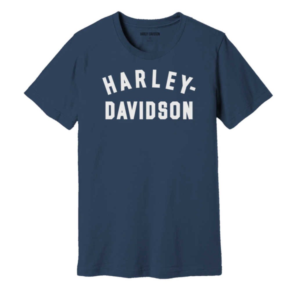 Harley-Davidson Men's Staple T-Shirt, Blue, 99071-22VM. (Front Print)