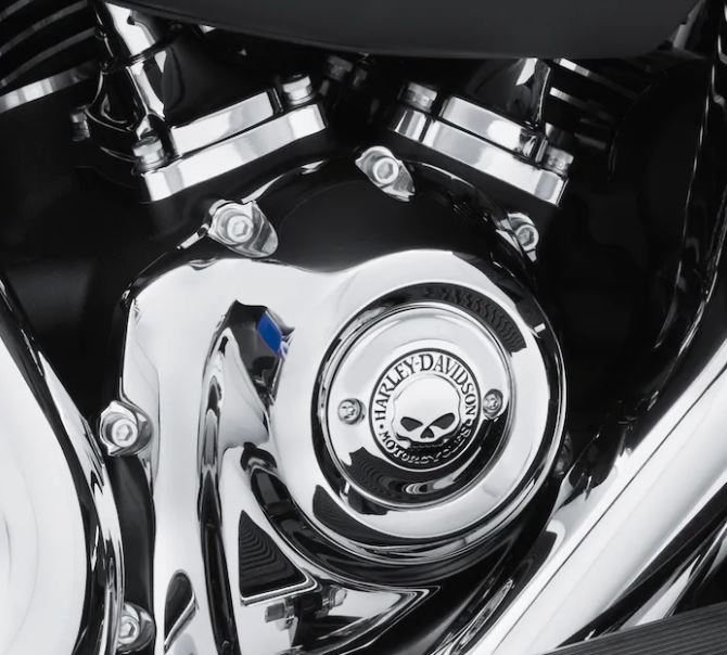 Harley-Davidson® Willie G Timer Cover - Chrome - 25600066.
