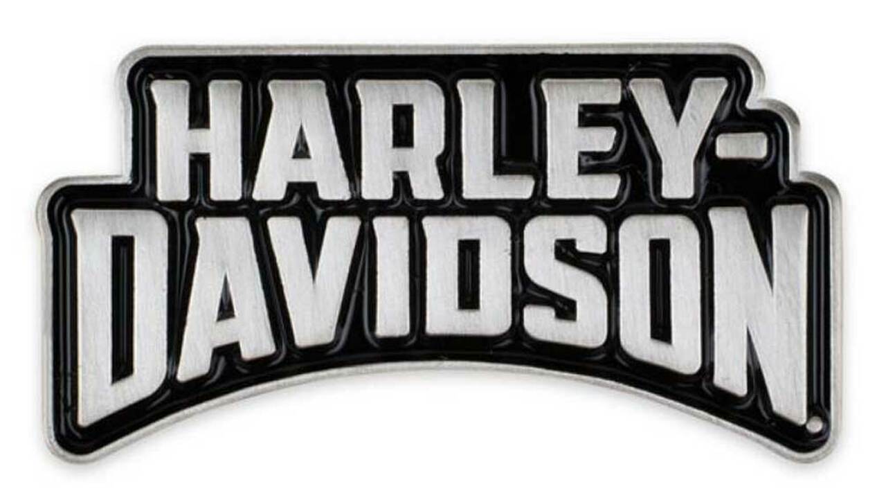 Harley-Davidson 2D Die Struck Insignia H-D Pin - P344062 (NEW)