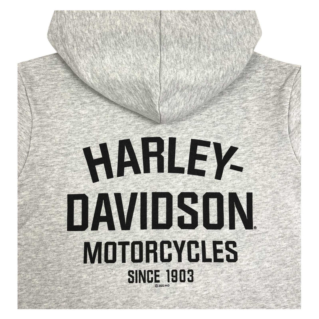 Harley-Davidson Kids Bar & Shield Hoodie, Grey