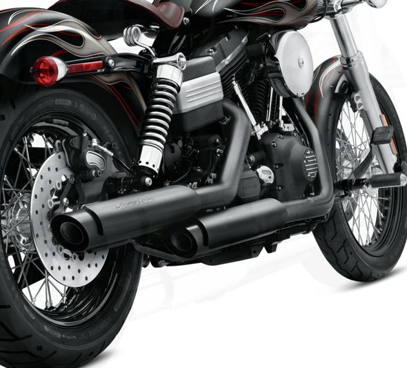 Harley-Davidson Screamin' Eagle® Street Performance Slip-on Shorty Dual Mufflers - 80794-10A